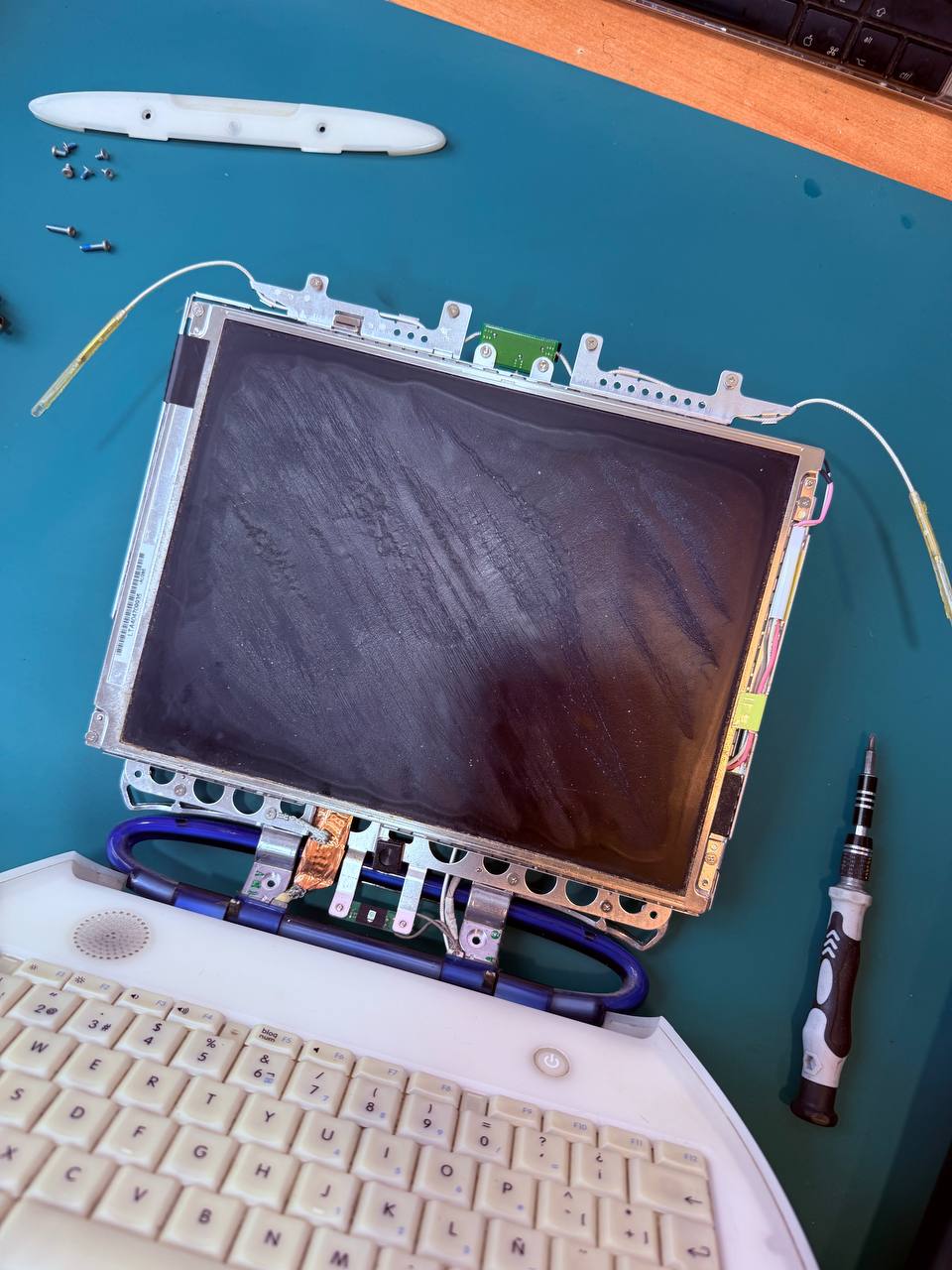 Pantalla LCD desmontada de un iBook G3 Clamshell azul en el taller