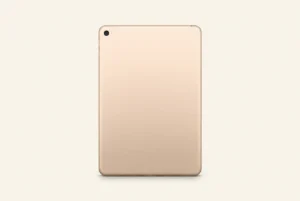 iPad Mini 5 (2019)