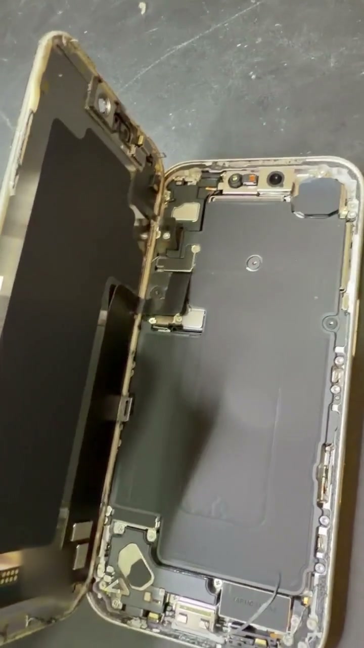 Acceso al interior de un iPhone